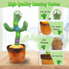 Dancing Cactus Talking Toy, Chargeable Toy