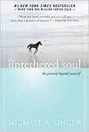 New Harbinger The Untethered Soul: The Journey Beyond Yourself Paperback
