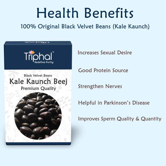 Triphal Kaunch Beej Kale – Black Velvet Beans image 3