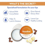Vaseline Tin Cocoa Butter Lip Therapy -17 gm image 3