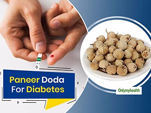 Namo Organics Paneer Doda-400gm image 9