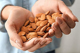 Namo Organic Almonds - 500 gms image 2