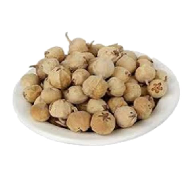 Yugantar Paneer Dodi image 3