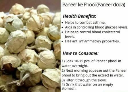 Namo Organics Paneer Doda-400gm image 7