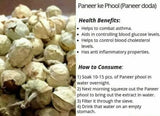 Namo Organics Paneer Doda-400gm image 8