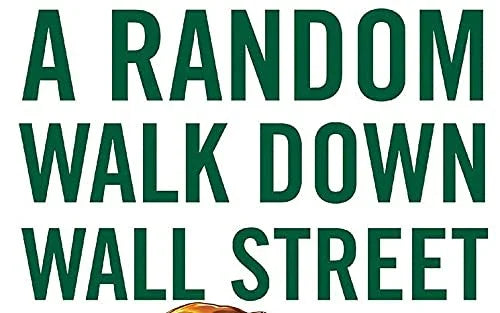 A Random Walk Down Wall Street: The Time-Tested Strategy for Successful Investing Paperback image 3