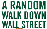 A Random Walk Down Wall Street: The Time-Tested Strategy for Successful Investing Paperback image 3