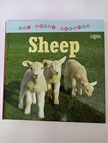 Sheep Boardbook