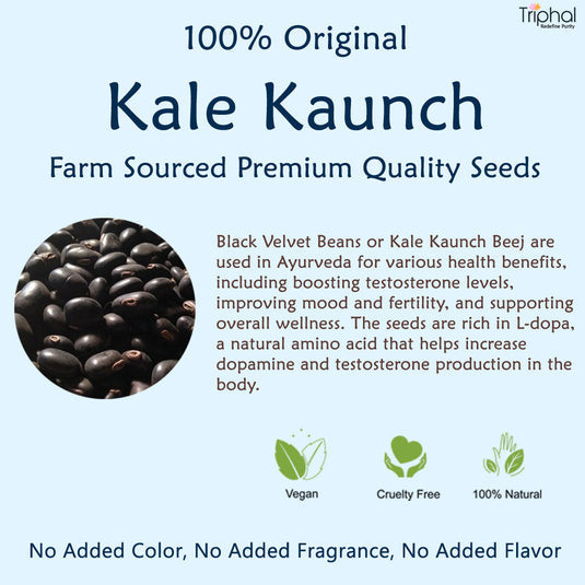 Triphal Kaunch Beej Kale – Black Velvet Beans image 4
