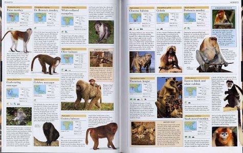 Animal: The definitive visual guide to the world's wildlife Hardcover image 2