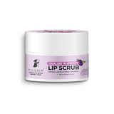 Pilgrim Spanish Squalane Lip Scrub -Blueberry | 8 gm image 2