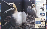 Animal: The definitive visual guide to the world's wildlife Hardcover image 3