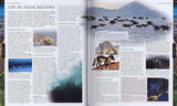 Animal: The definitive visual guide to the world's wildlife Hardcover image 4