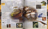 Animal: The definitive visual guide to the world's wildlife Hardcover image 5
