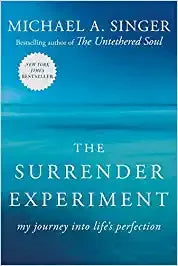 The Surrender Experiment (Lead Title): My Journey into Life's Perfection Paperback