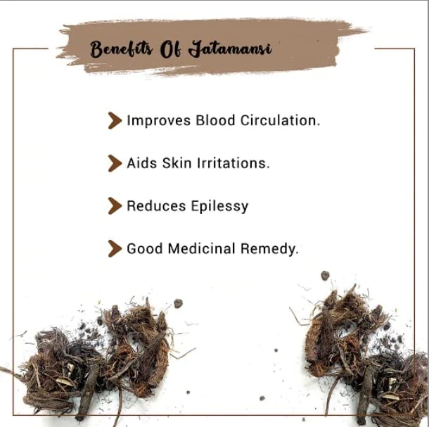 Namo Organics Jatamansi Root - 100 gms image 4