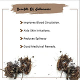 Namo Organics Jatamansi Root - 100 gms image 4