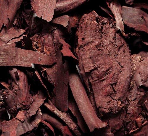 Namo Organics Ratanjot Root - 100 gms image 2