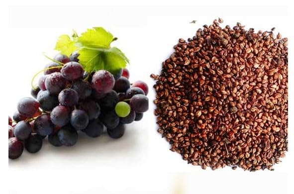 3V Products Grape Seed - 100 gms image 2