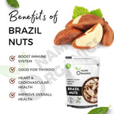 Namo Organics Brazil Nuts-500g image 3