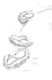 Berozgaar Engineer - Vishwas Sharma – Unbound Script (image 3)