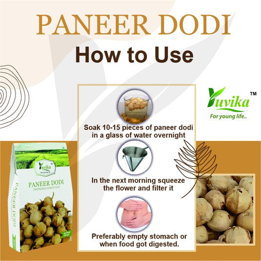 Yuvika Paneer Dodi - Paneer Ke Phool - Withania Coagulan image 3