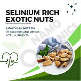 Namo Organics Brazil Nuts-500g image 5