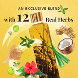 Veda Ayurvedic Cold Pressed Hair Oil - Ayurvedic Jadi Butis Infused Oil -200 ml image 4