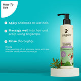 Pilgrim Spanish Rosemary & Biotin Anti Hairfall Shampoo -200ml image 5