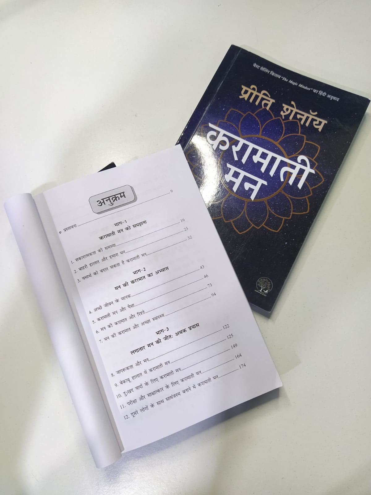 Karamati Mann - Preeti Shenoy – Unbound Script (image 4)