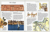 The Children's Illustrated Bible Hardcover