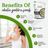 Namo Organics Gokhru Chota - 400 gms image 4
