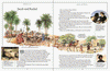 The Children's Illustrated Bible Hardcover