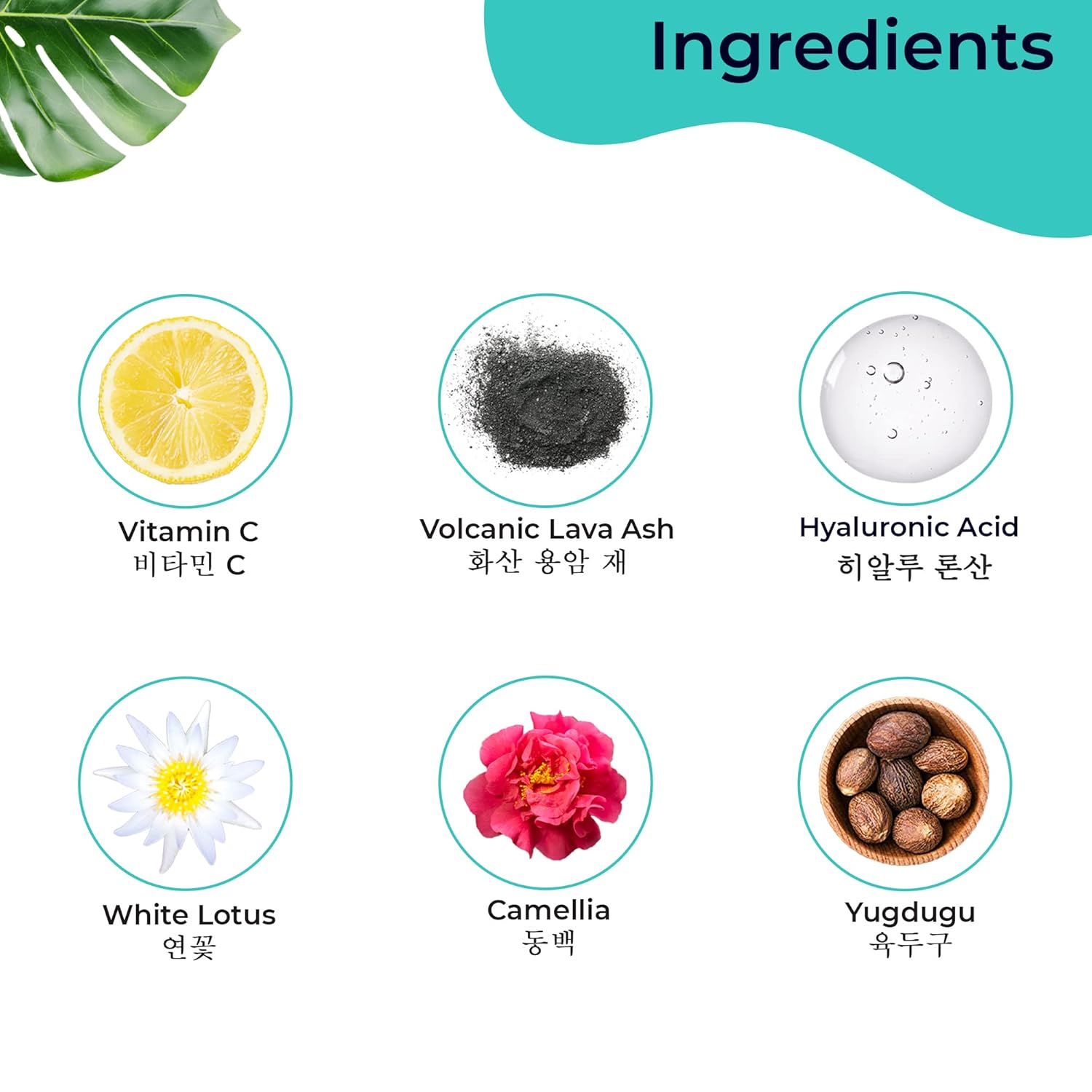 Pilgrim  Korean Skin Face Care Kit  Vitamin C Night Serum 30ml +  Face Wash 100 Ml + Toner 100 Ml + Day Cream Spf50 100 Gm image 2