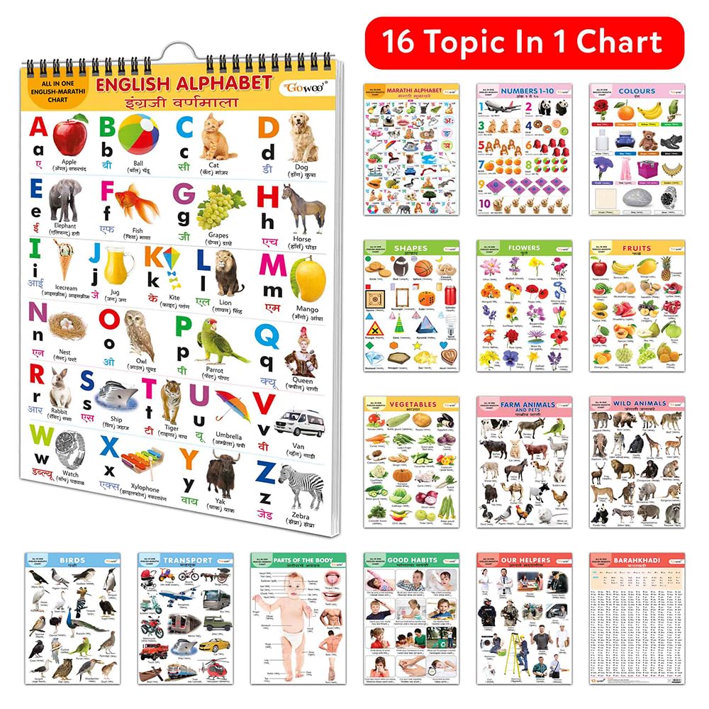English-Marathi Chart For Kids (16 Charts) 36 X 50 Cm - Children Spiral Wall Picture Chart (image 3)