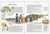 The Children's Illustrated Bible Hardcover