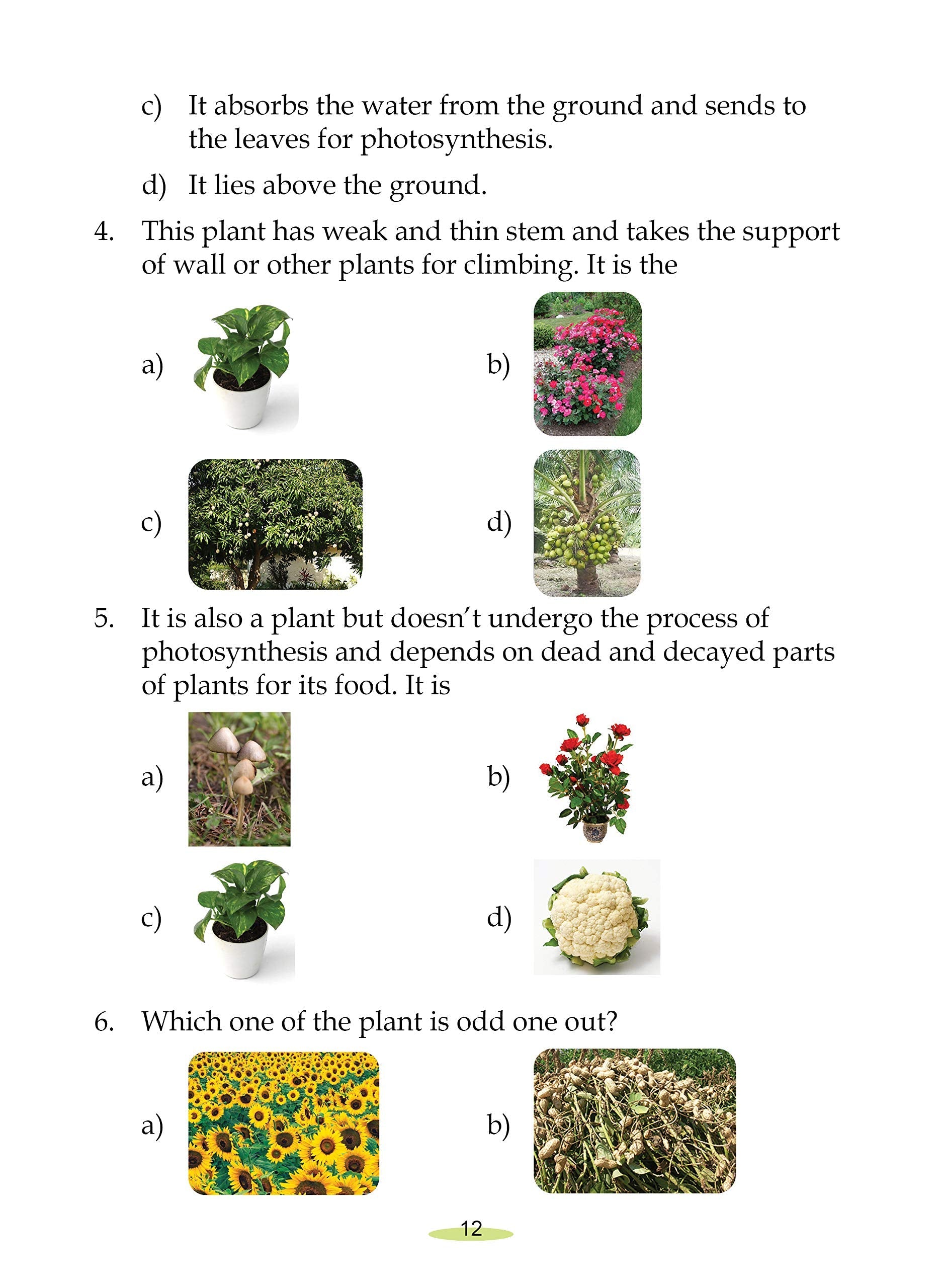 Science Olympiad Challanger-3. – Scholars Hub (image 2)