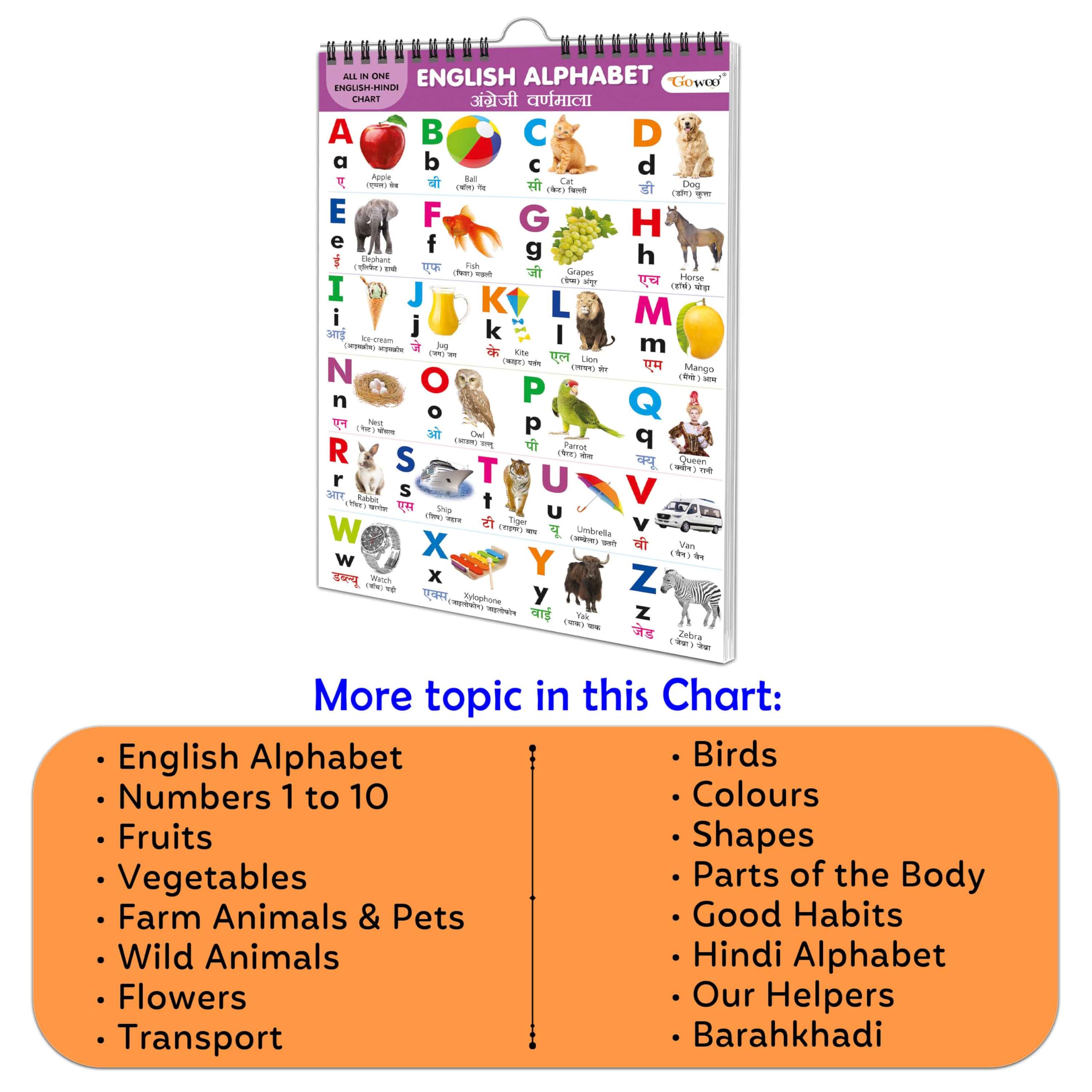 English-Hindi Chart For Kids (16 Charts) 36 X 50 Cm - Children Spiral Wall Picture Chart (image 5)