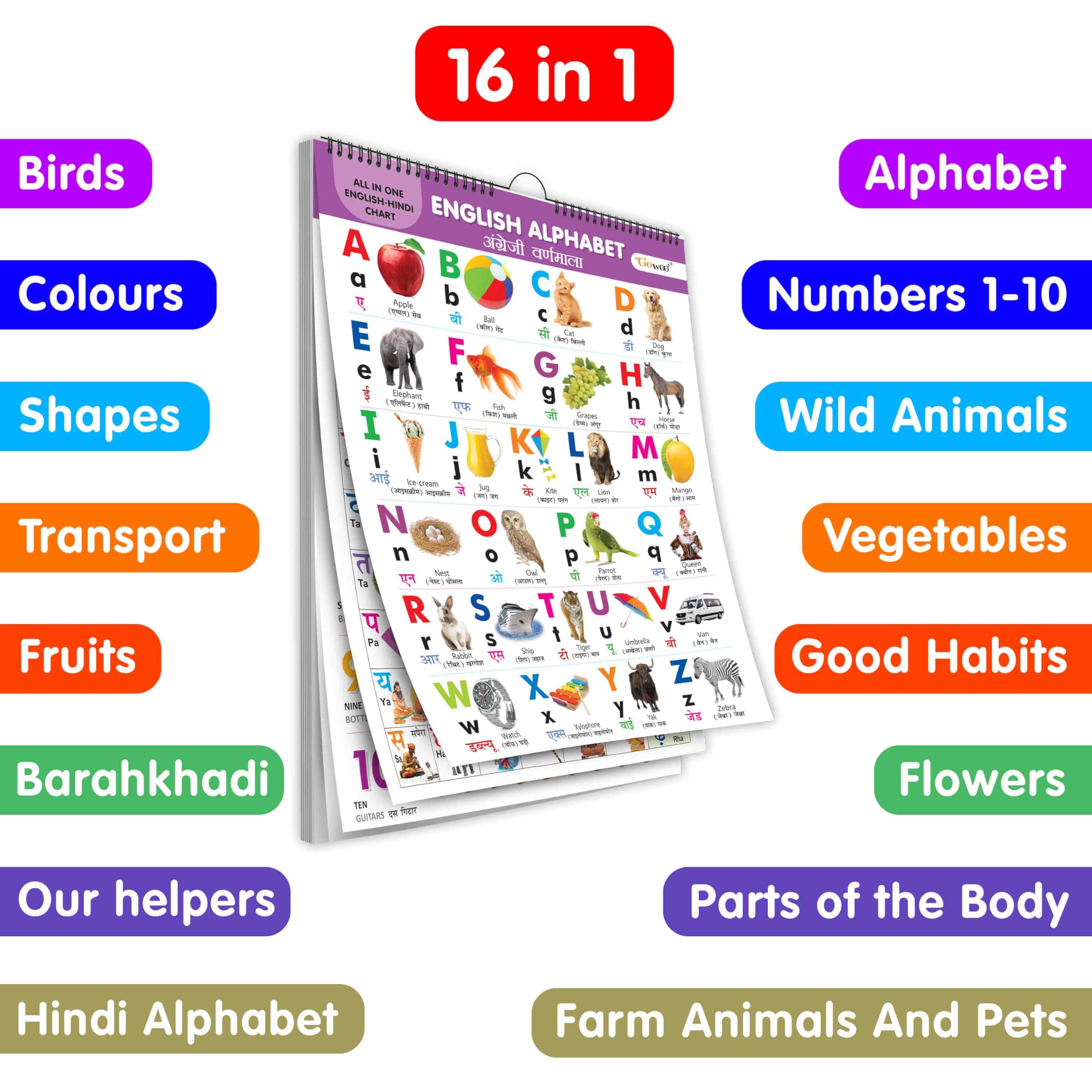 English-Hindi Chart For Kids (16 Charts) 36 X 50 Cm - Children Spiral Wall Picture Chart (image 2)