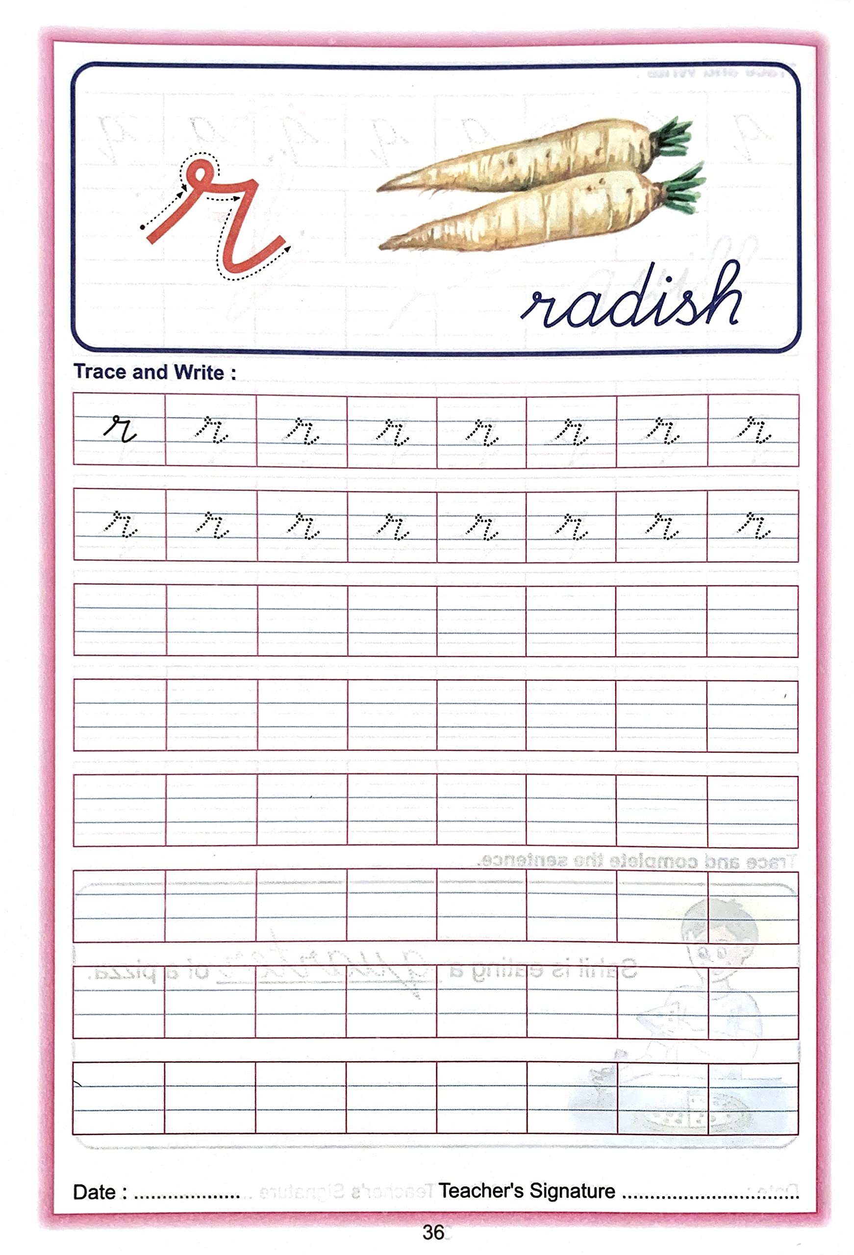 Scholars Hub Cursive Writing Book (Practice)- Alphabet Cursive Writing. (Capital) & Alphabet Cursive Writing. (Small) (Set…
