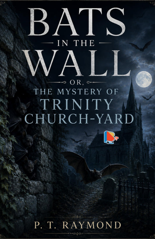 Bats in the Wall or, The Mystery of Trinity Church-yard - P. T. Raymond – DD Books