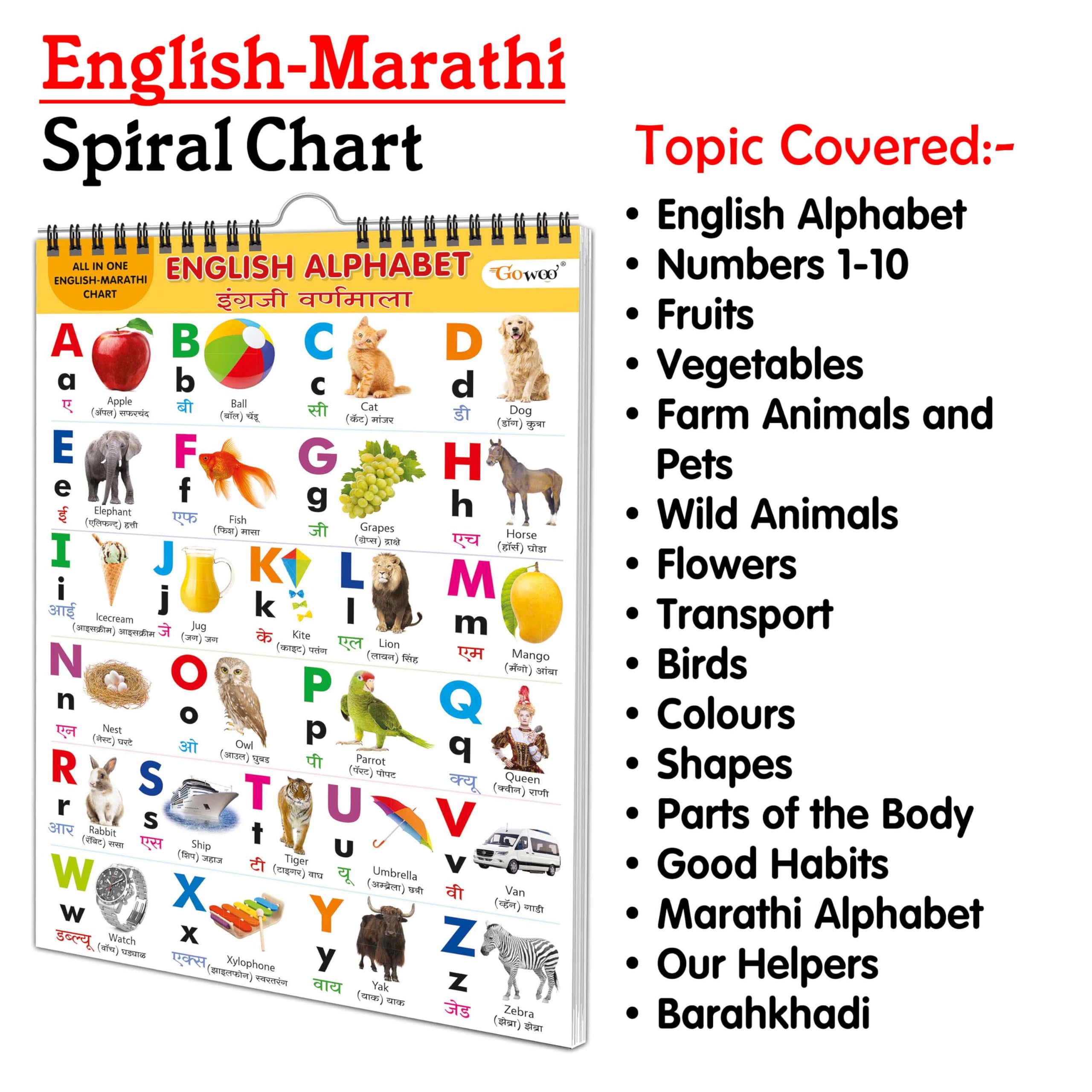 English-Marathi Chart For Kids (16 Charts) 36 X 50 Cm - Children Spiral Wall Picture Chart (image 4)