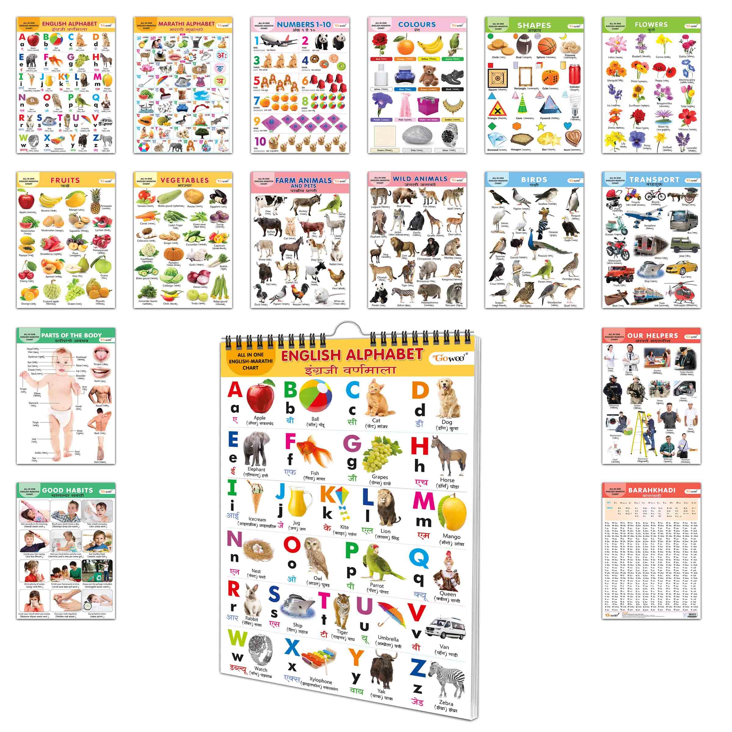 English-Marathi Chart For Kids (16 Charts) 36 X 50 Cm - Children Spiral Wall Picture Chart (image 6)