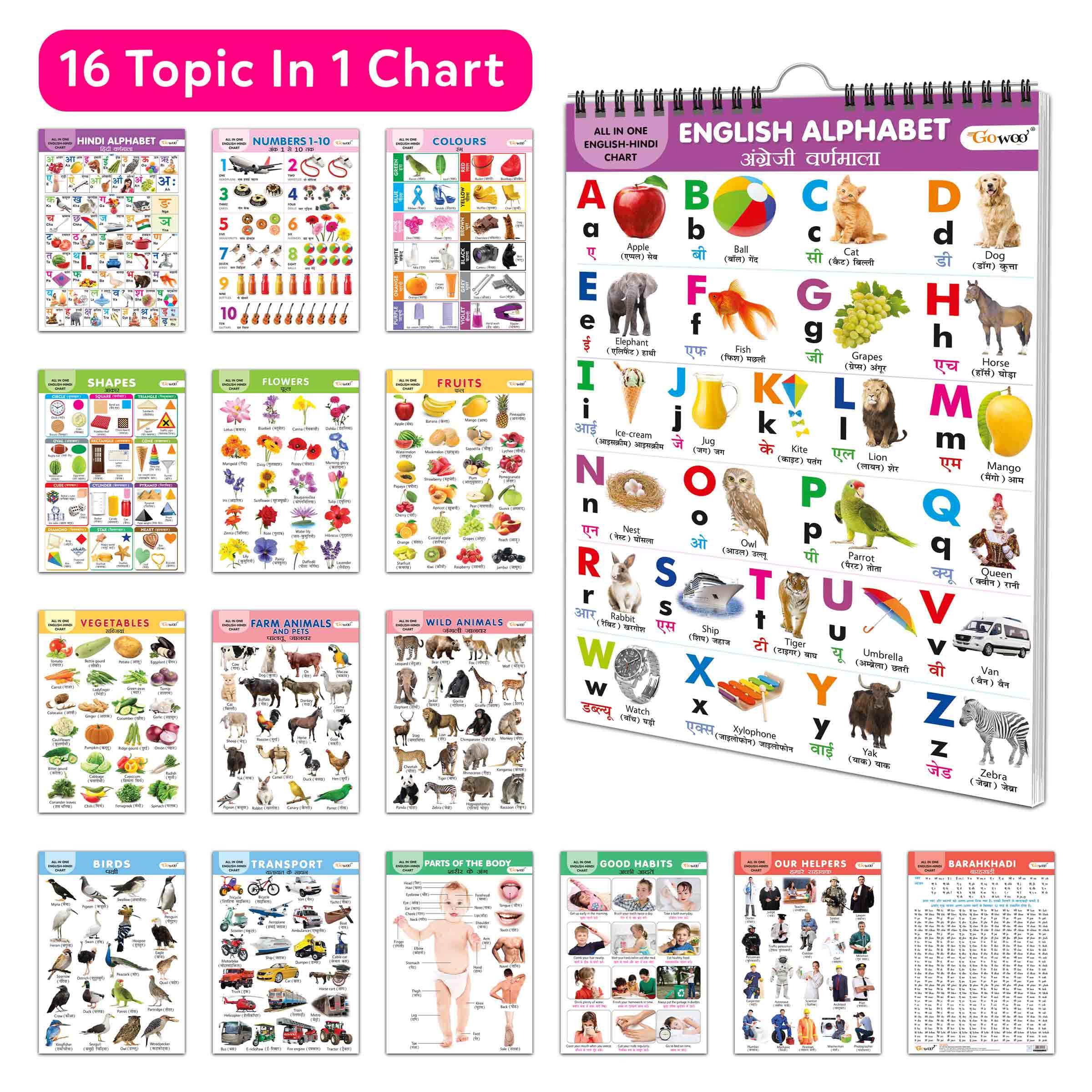 English-Hindi Chart For Kids (16 Charts) 36 X 50 Cm - Children Spiral Wall Picture Chart (image 7)
