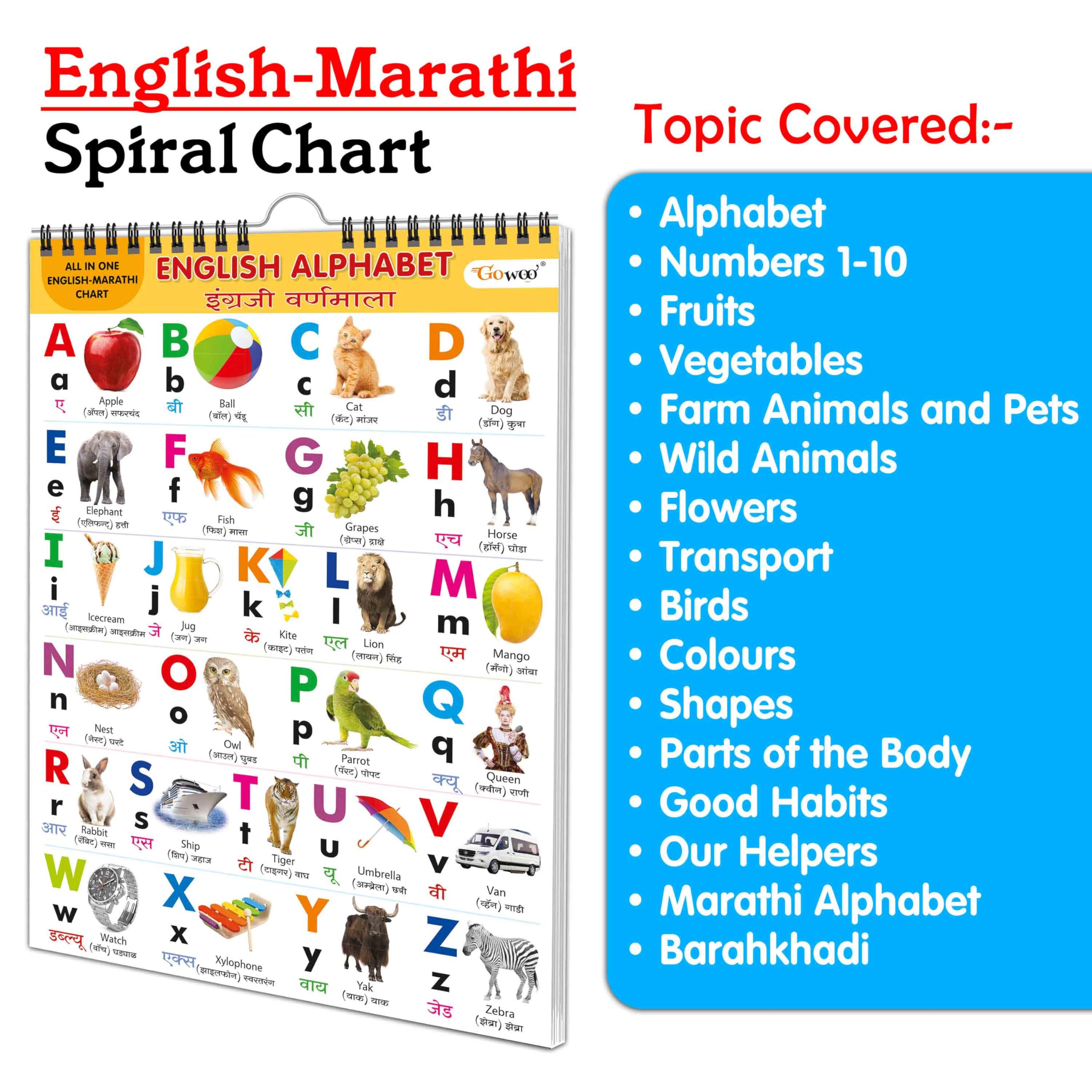 English-Marathi Chart For Kids (16 Charts) 36 X 50 Cm - Children Spiral Wall Picture Chart (image 9)