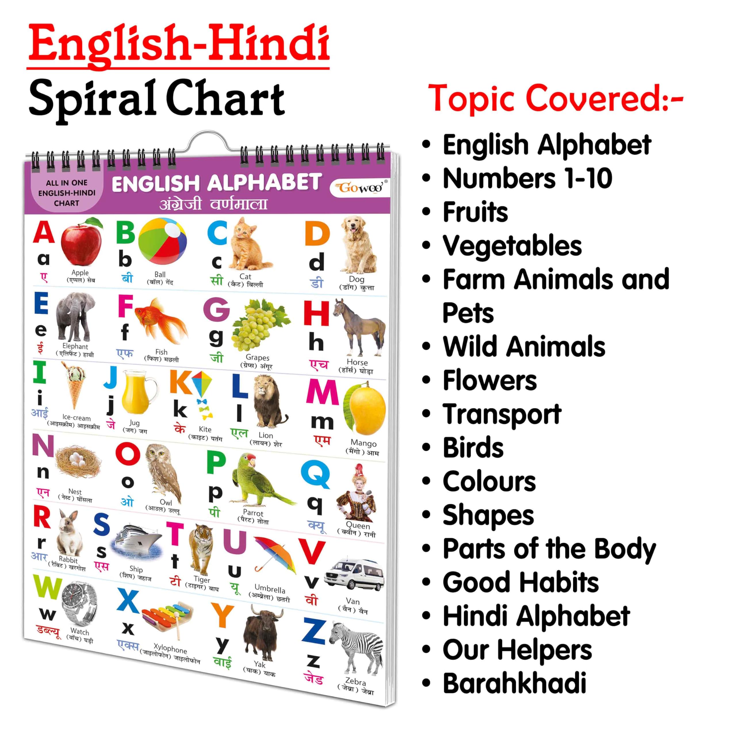 English-Hindi Chart For Kids (16 Charts) 36 X 50 Cm - Children Spiral Wall Picture Chart (image 4)