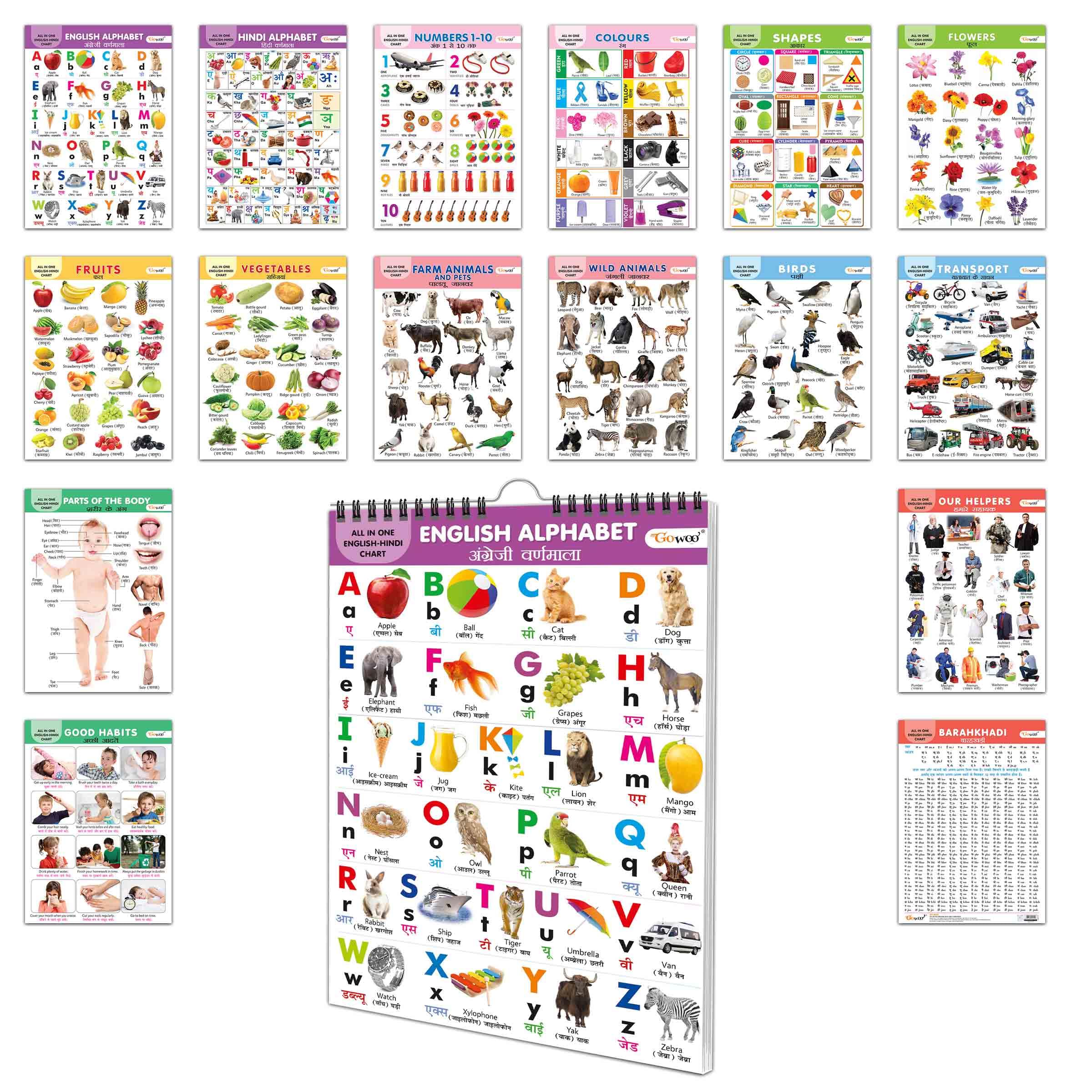 English-Hindi Chart For Kids (16 Charts) 36 X 50 Cm - Children Spiral Wall Picture Chart (image 6)