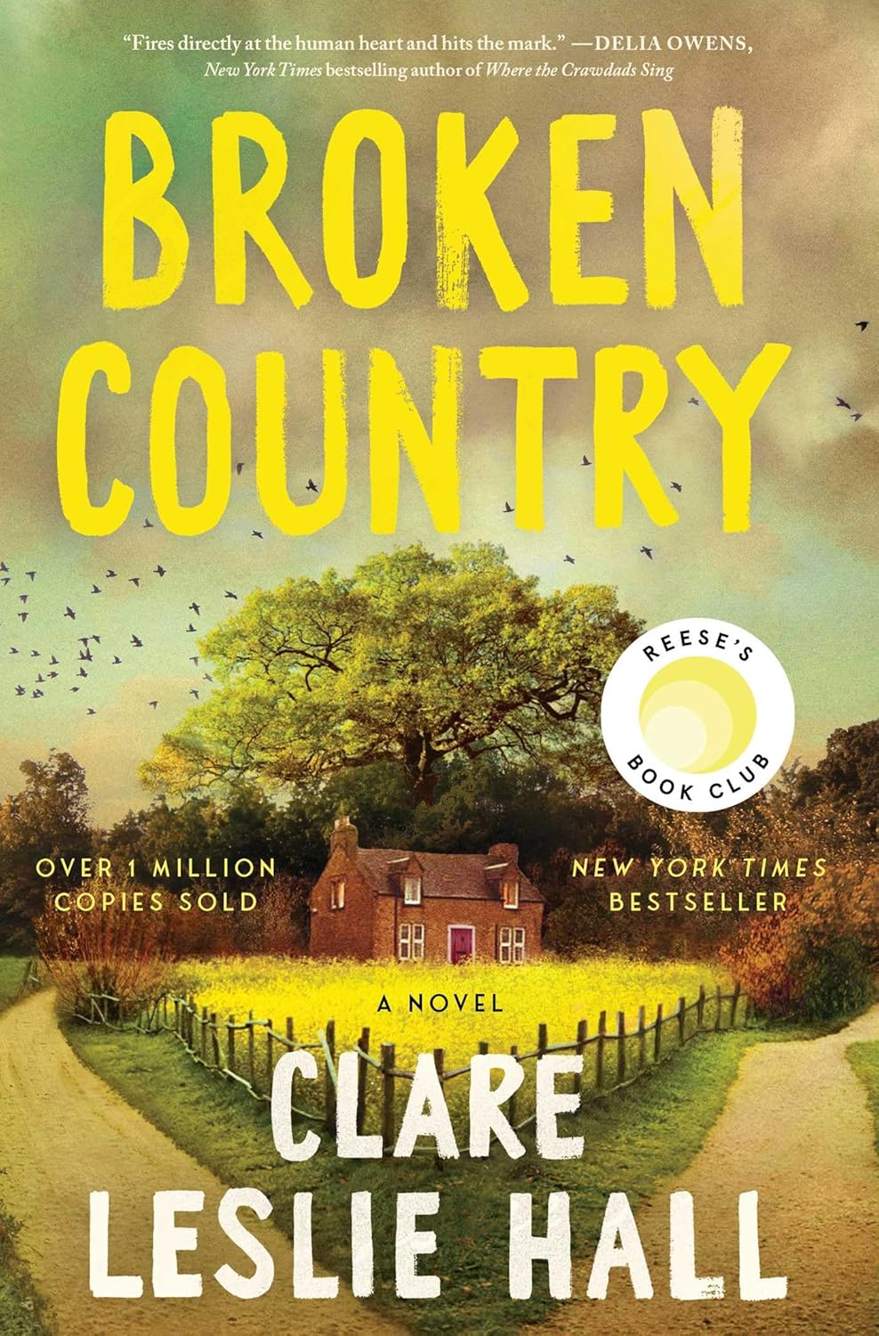 Broken Country Paperback –  by Clare Leslie Hall