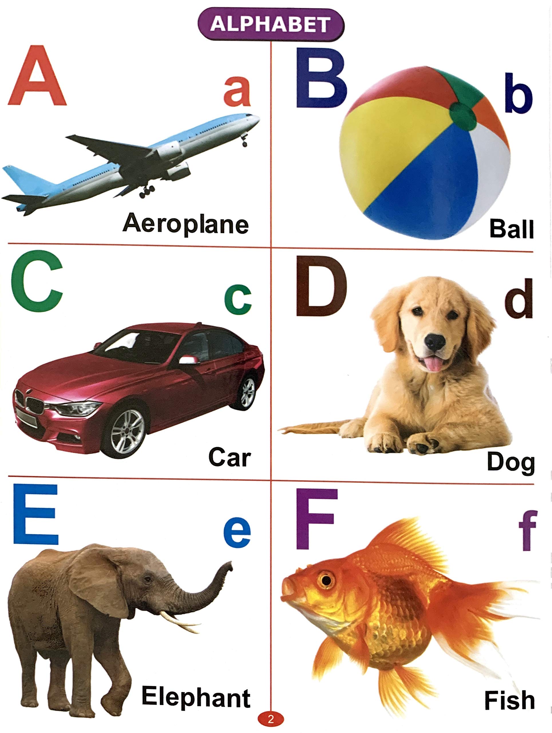 All In One Picture Book (For Ages 1-4) – Scholars Hub (image 4)