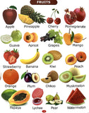 All In One Picture Book (For Ages 1-4) – Scholars Hub (image 5)